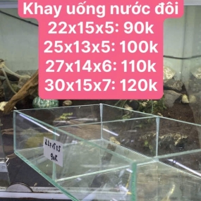 Khay uống nước đôi loại 1