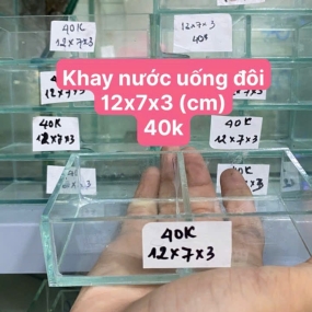 Khay uống nước đôi loại 5