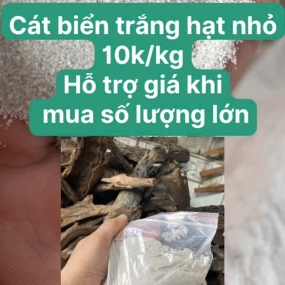 Cát biển trắng hạt nhỏ