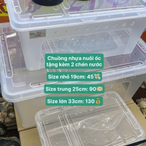 Chuồng nhựa nuôi ốc ( tặng kèo 2 chén nước)