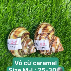 Vỏ cừ caramel