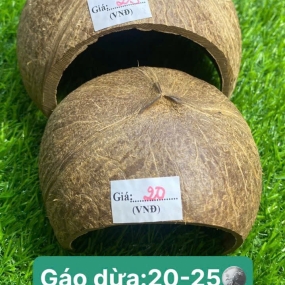 Gáo dừa