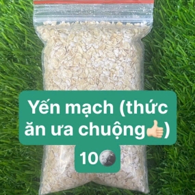 Yến mạch