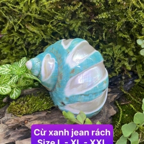 Vỏ cừ xanh jean rách